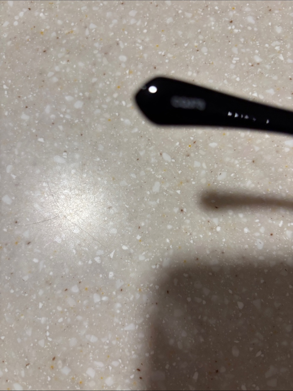 J. Crew Black Cat-Eye Sunglasses - Picture 5 of 6